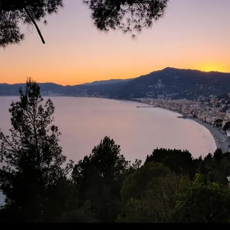 Serendipity * Alassio